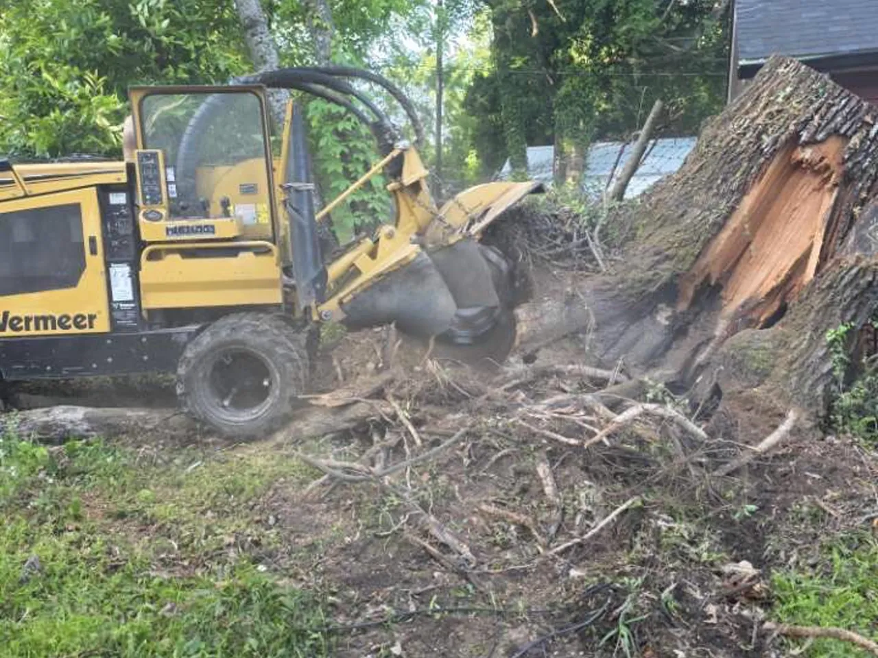 Just Stumps AL Vermeer SC852 stump grinder finishing a stump in an Alabama yard