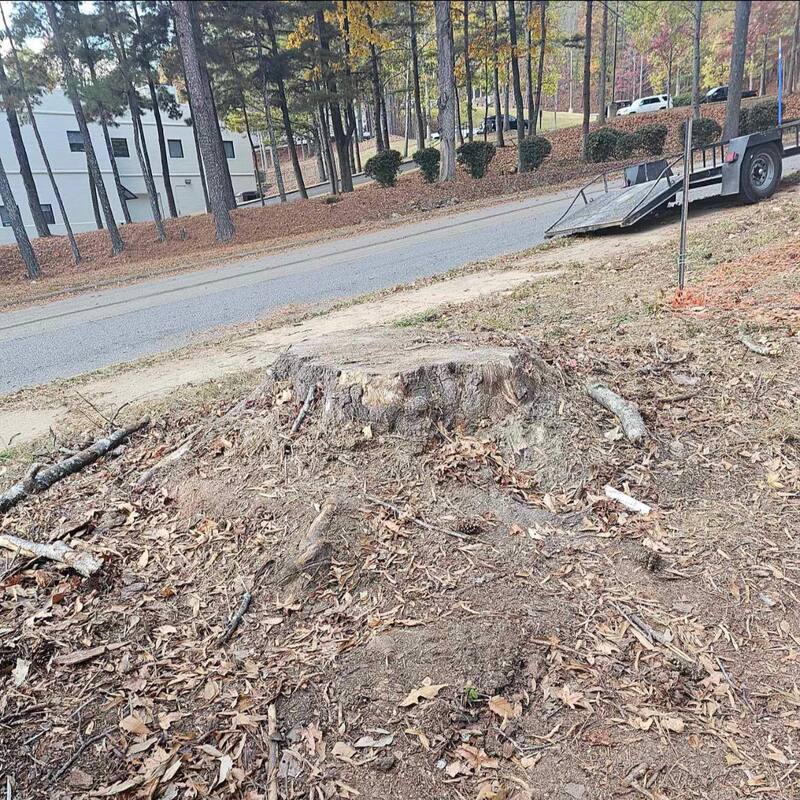 Just Stumps AL project photo 2