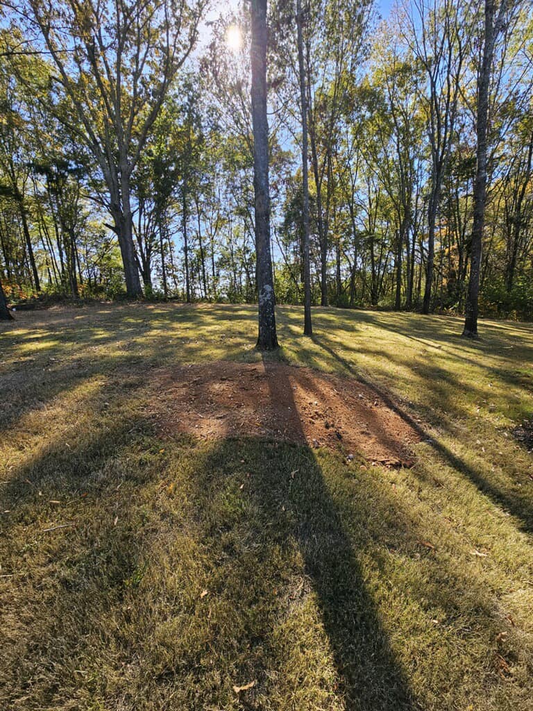 Just Stumps AL project photo 3