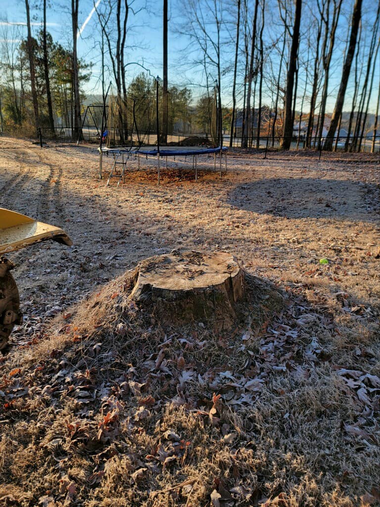 Just Stumps AL project photo 4