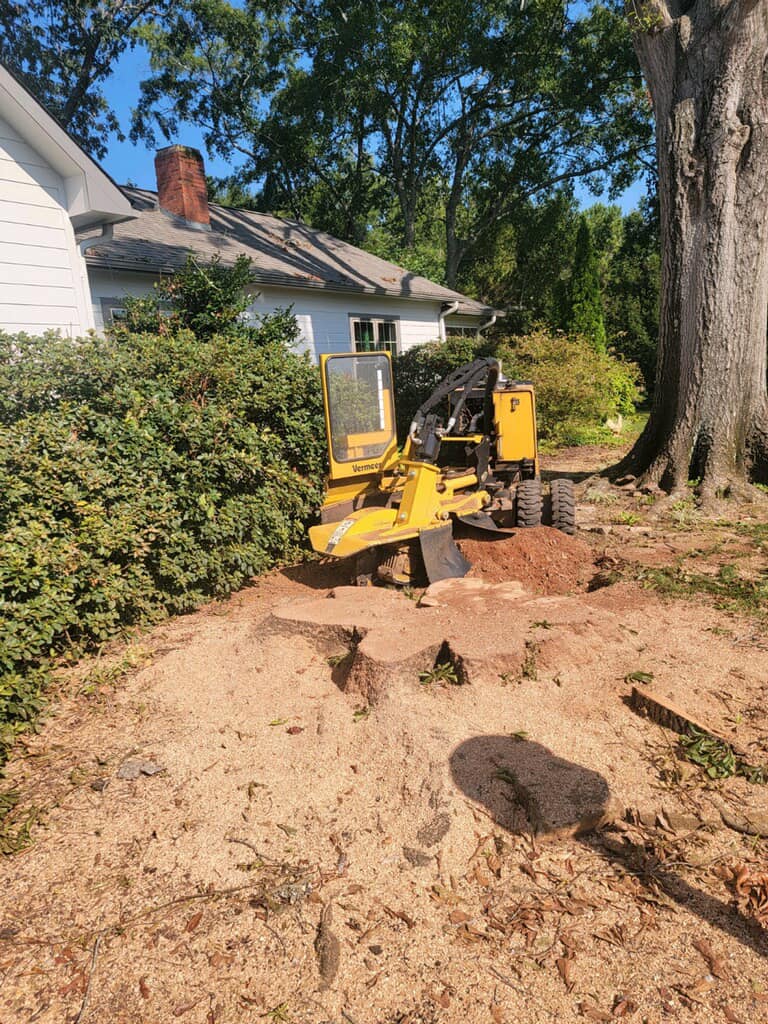 Just Stumps AL project photo 7