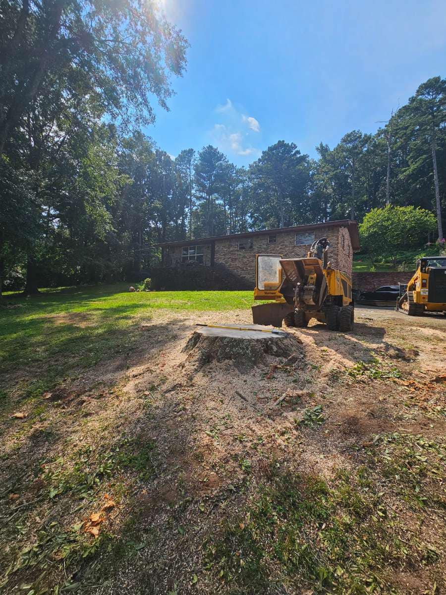 Just Stumps AL project photo 9