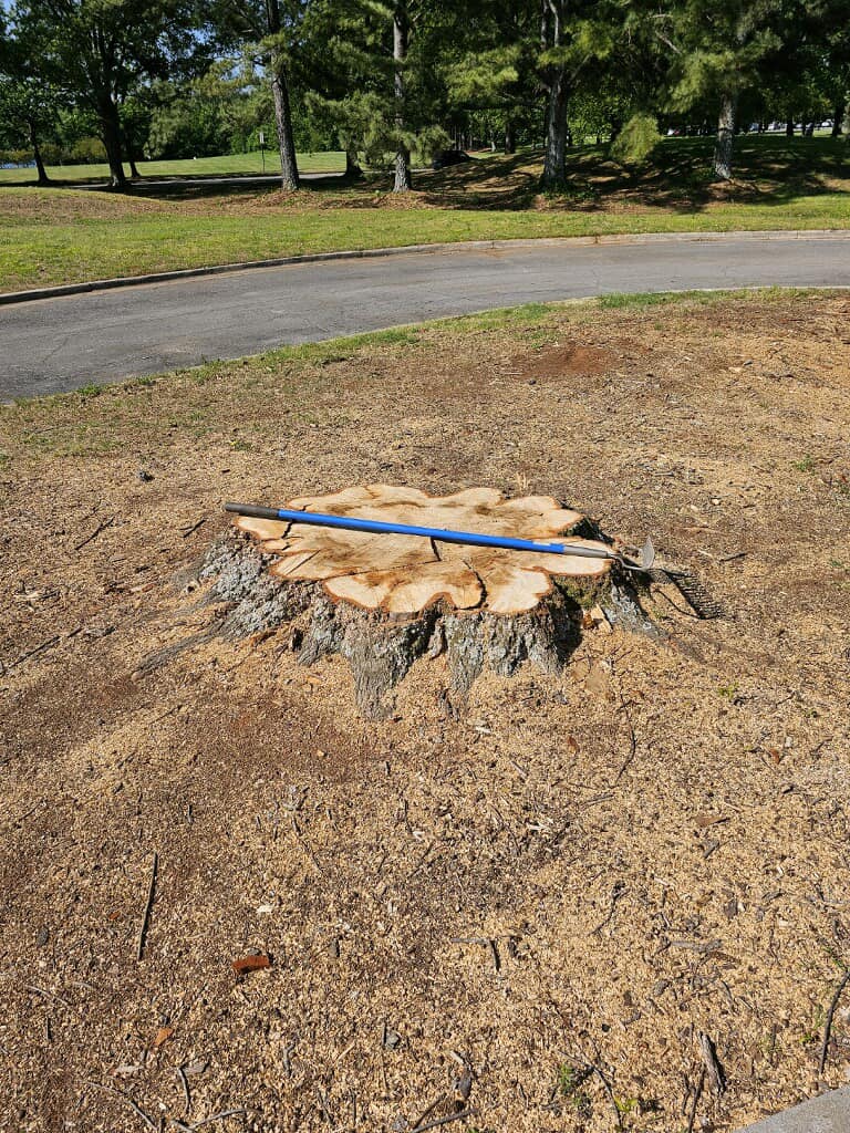 Just Stumps AL project photo 10