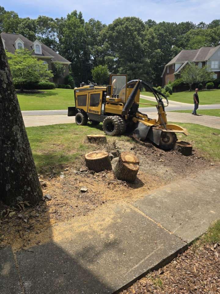 Just Stumps AL project photo 12