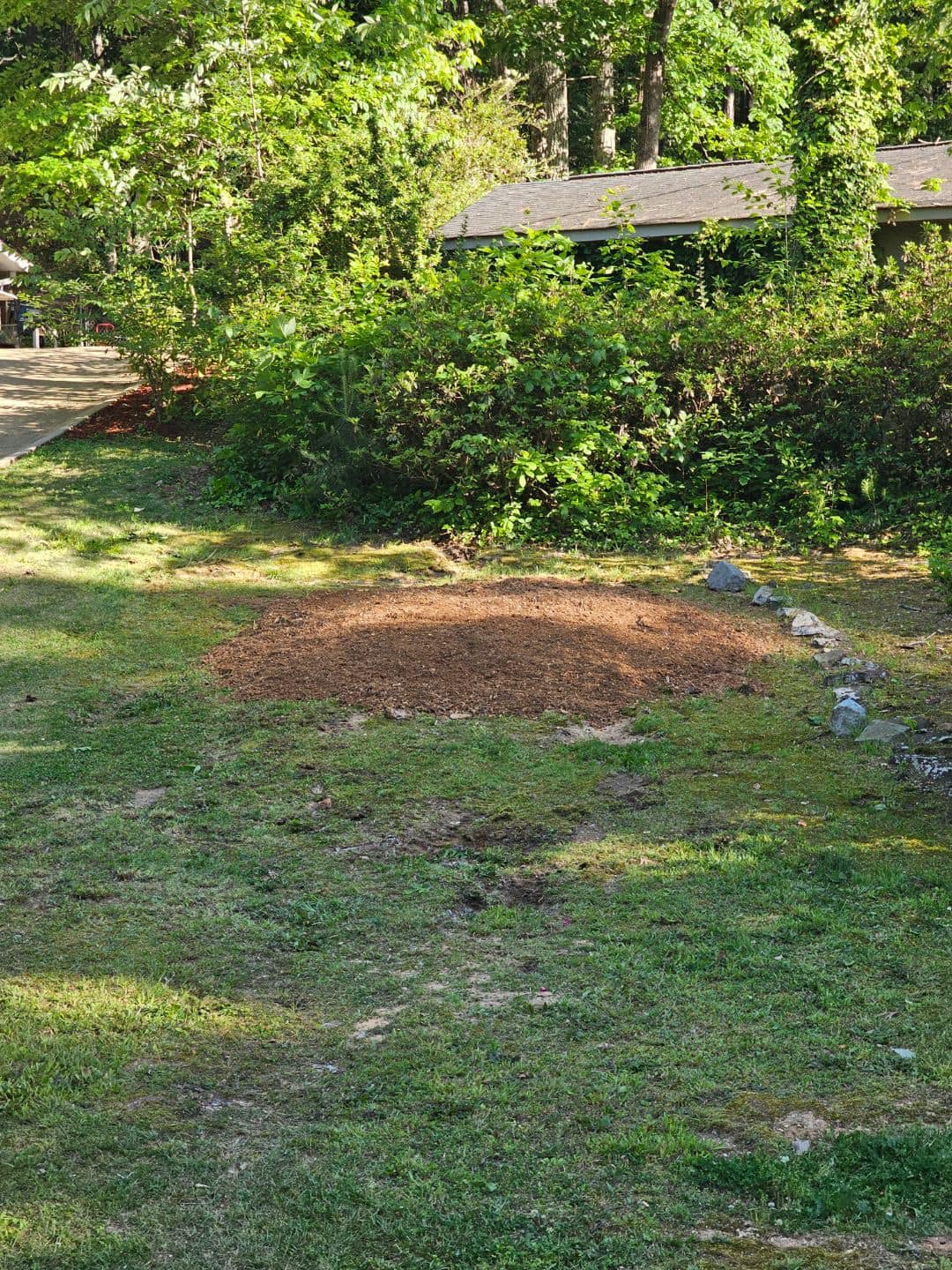 Just Stumps AL project photo 15