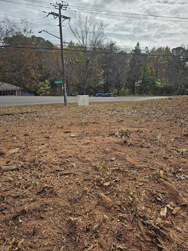 Just Stumps AL project photo 16