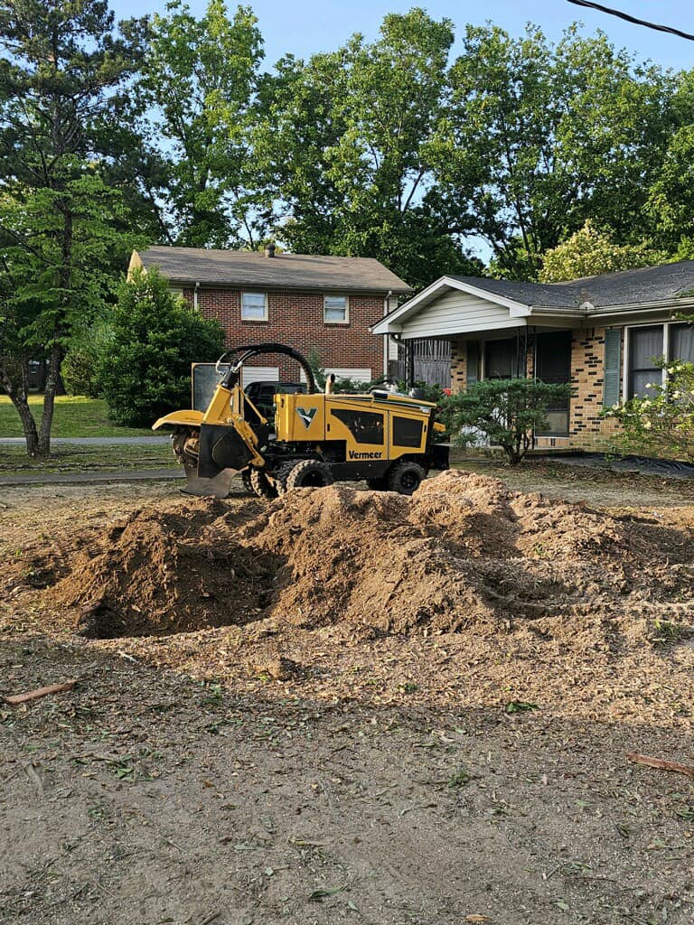 Just Stumps AL project photo 17