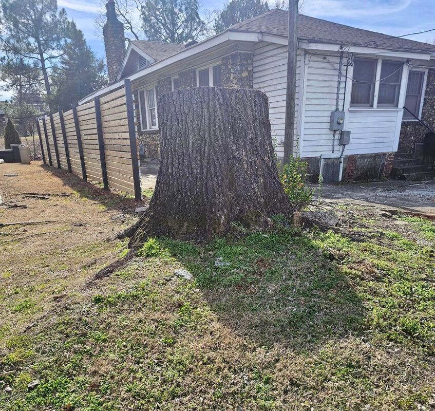 Just Stumps AL project photo 19
