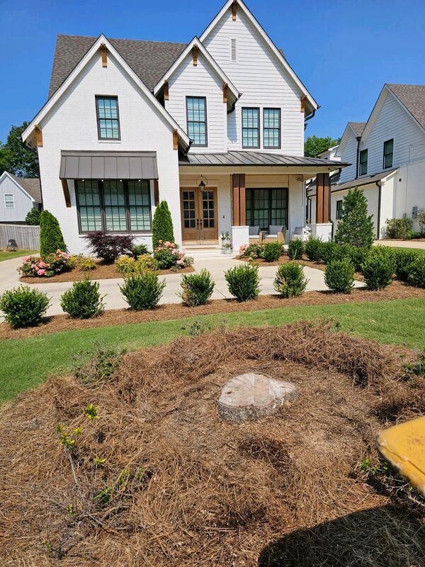 Just Stumps AL project photo 21