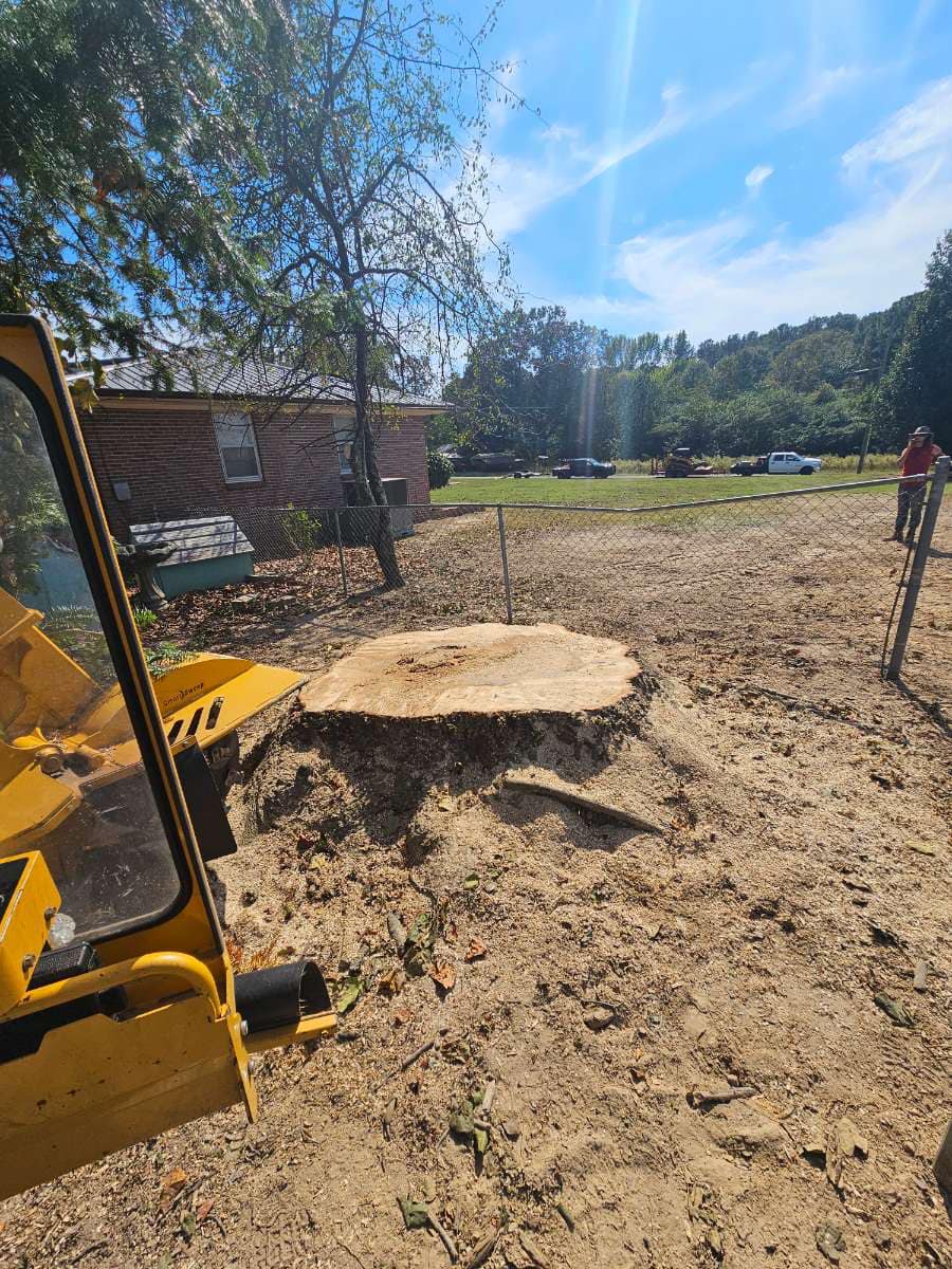 Just Stumps AL project photo 24
