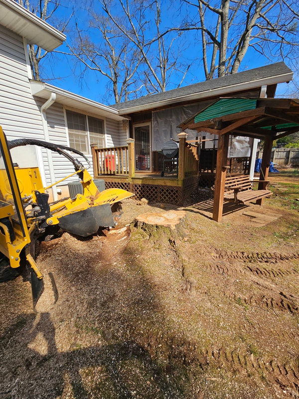 Just Stumps AL project photo 26