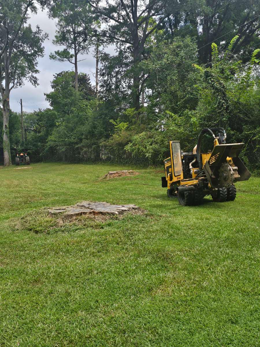 Just Stumps AL project photo 27