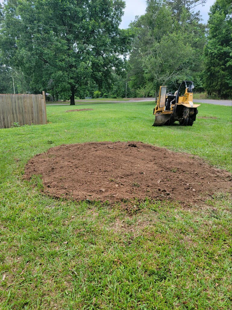 Just Stumps AL project photo 30