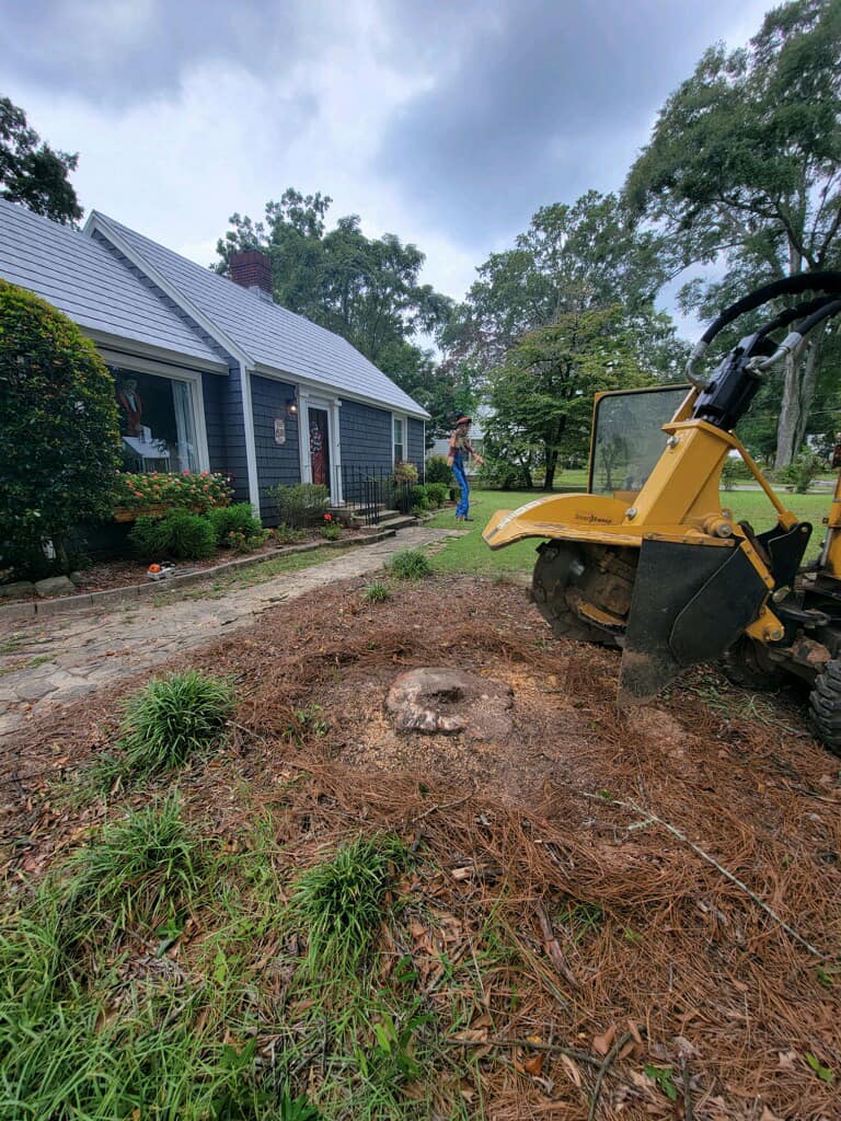Just Stumps AL project photo 32