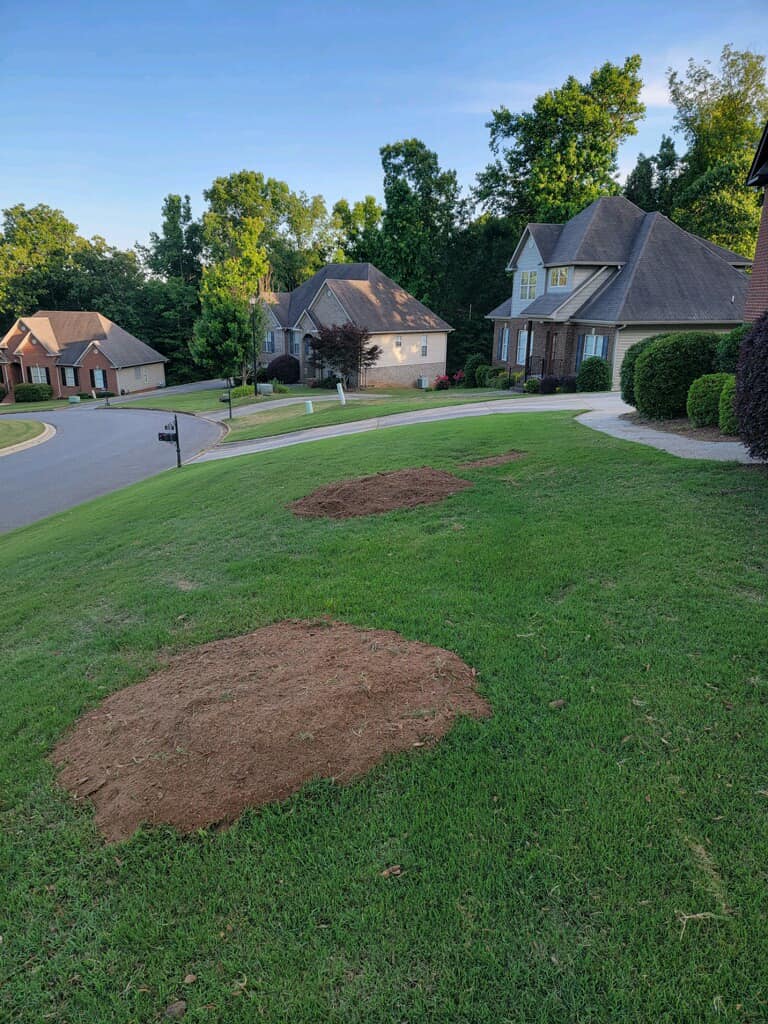 Just Stumps AL project photo 33