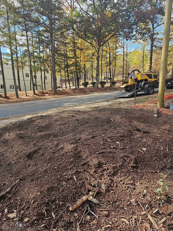 Just Stumps AL project photo 34