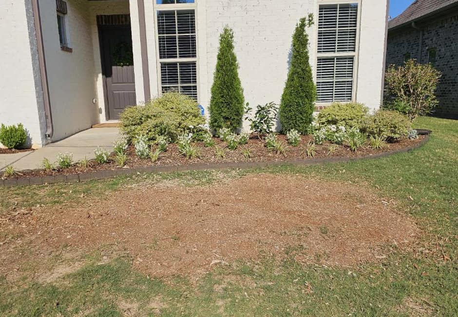 Just Stumps AL project photo 35