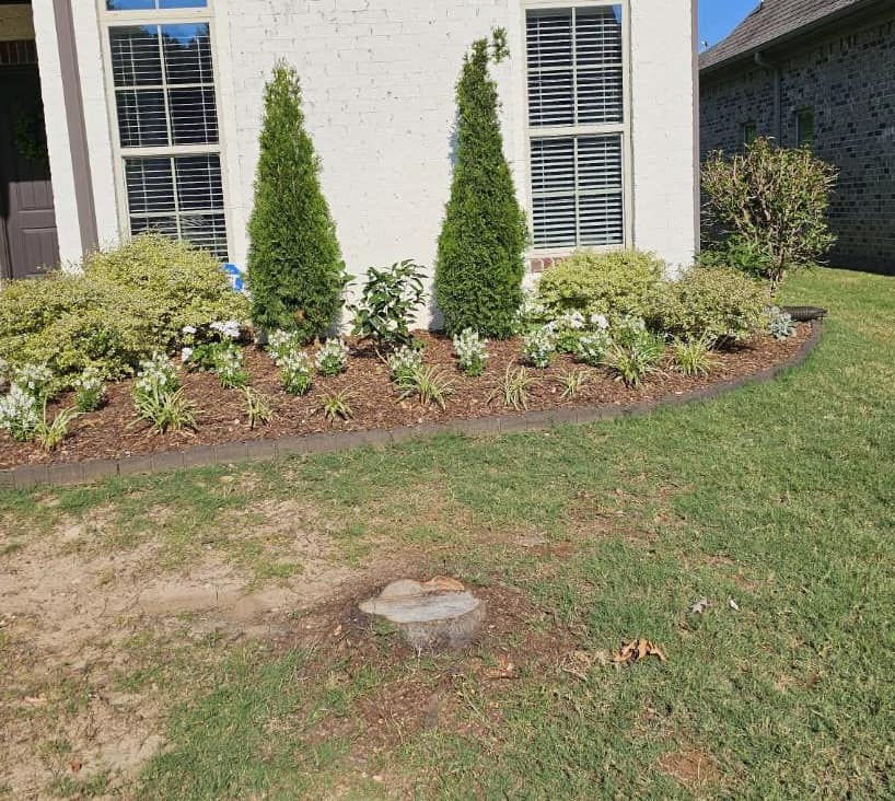 Just Stumps AL project photo 37