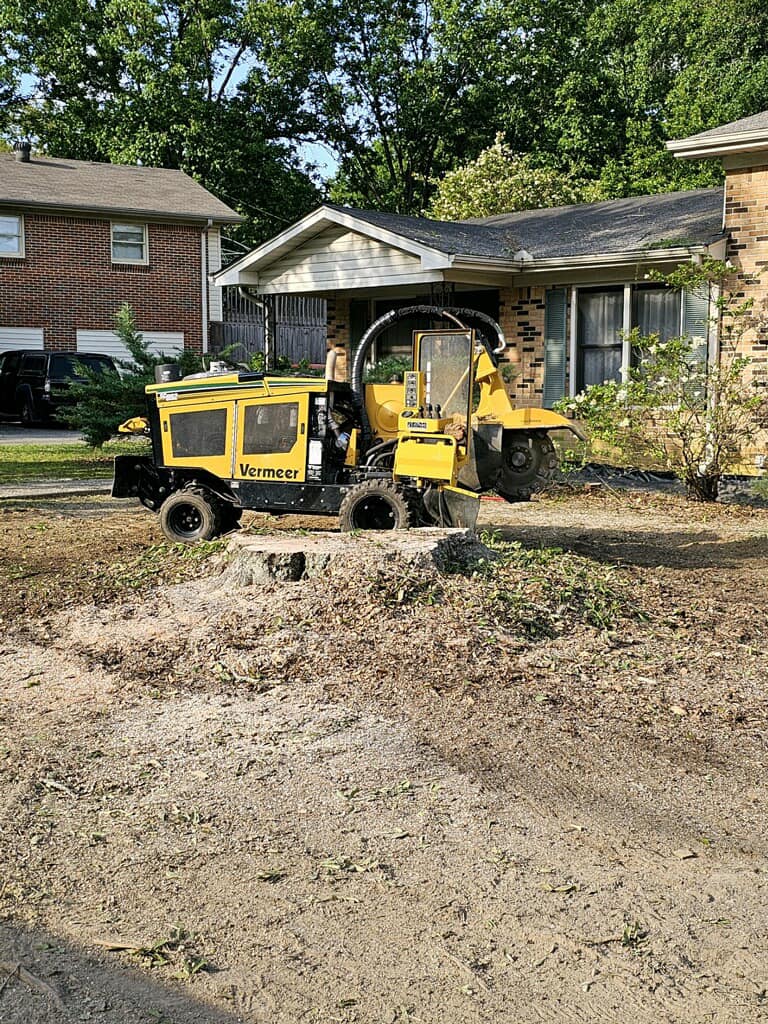 Just Stumps AL project photo 38