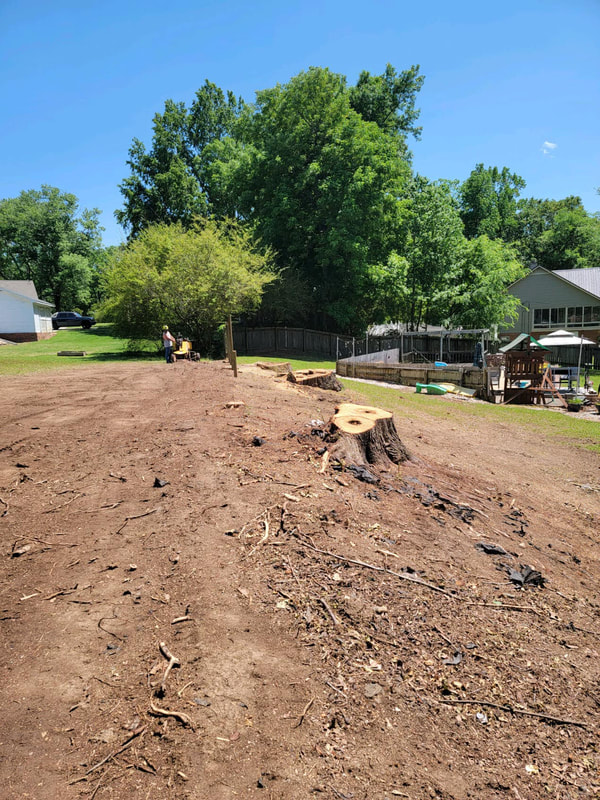 Just Stumps AL project photo 39