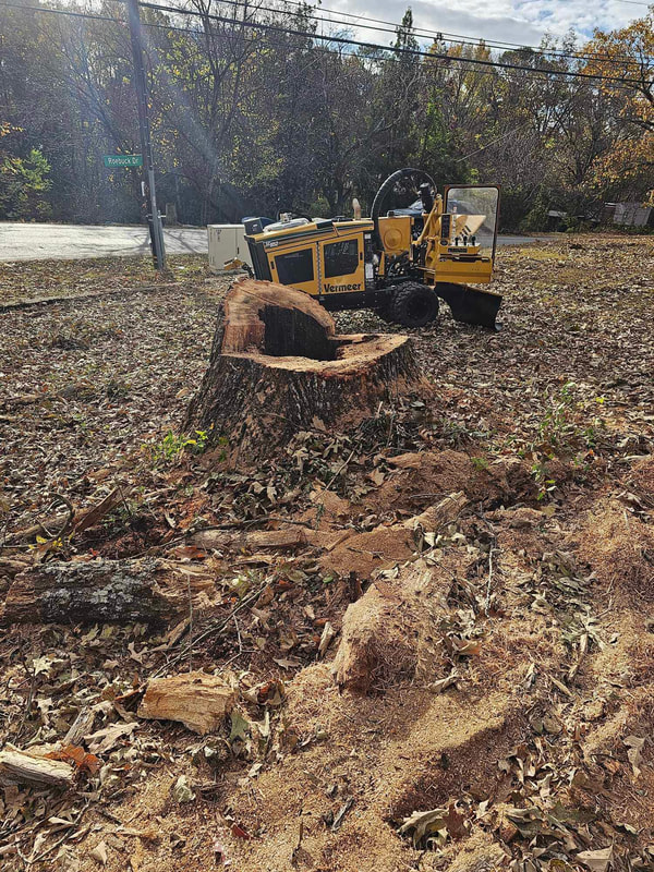 Just Stumps AL project photo 40