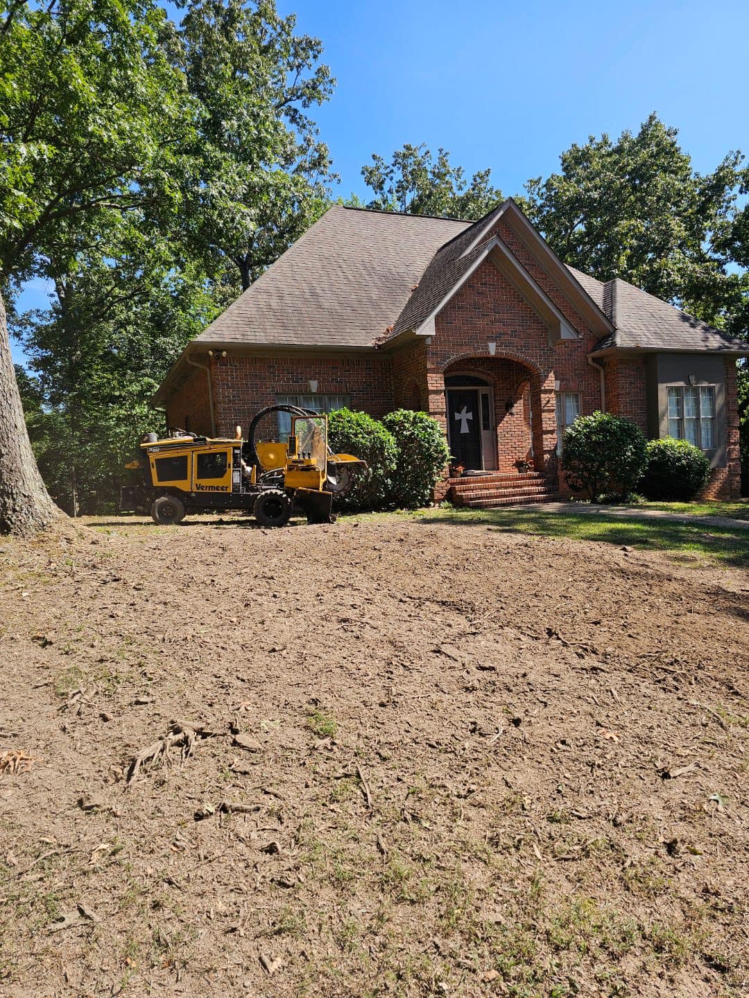 Just Stumps AL project photo 42
