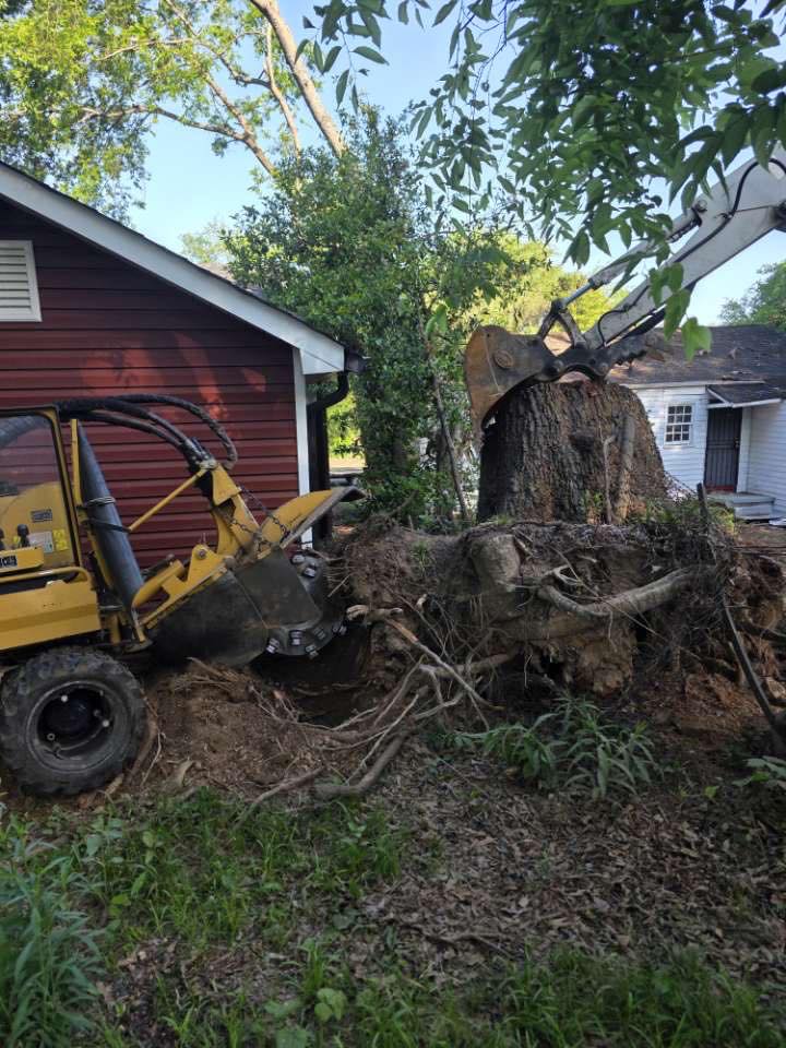 Just Stumps AL project photo 43