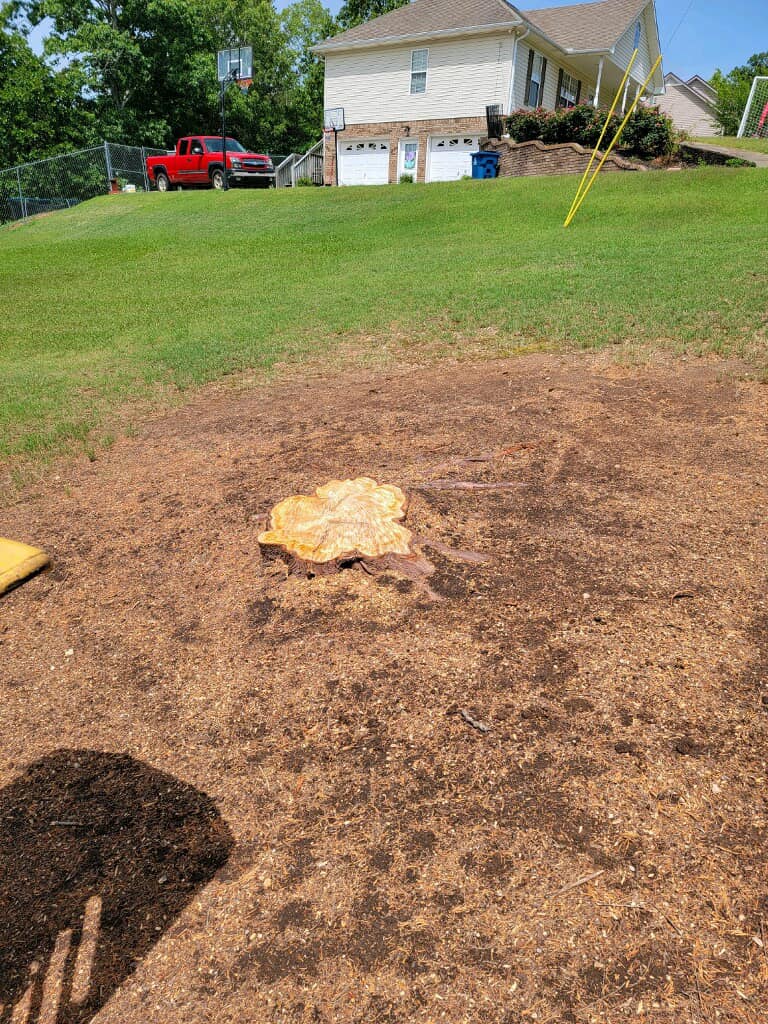 Just Stumps AL project photo 44