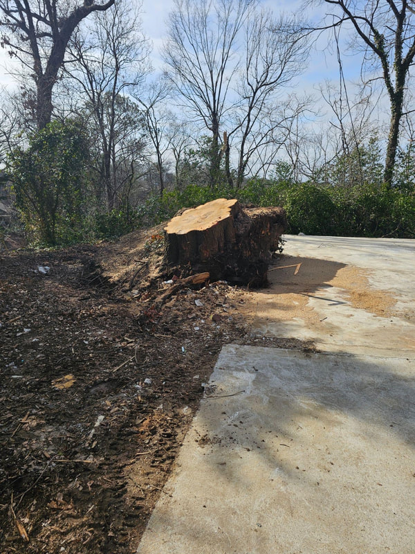 Just Stumps AL project photo 46