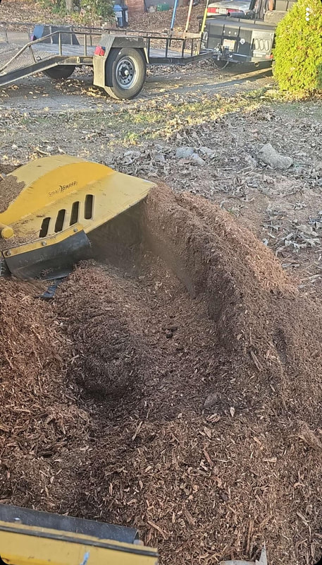 Just Stumps AL project photo 50