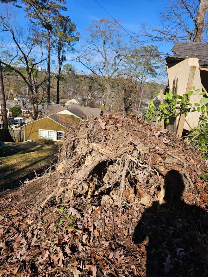 Just Stumps AL project photo 54