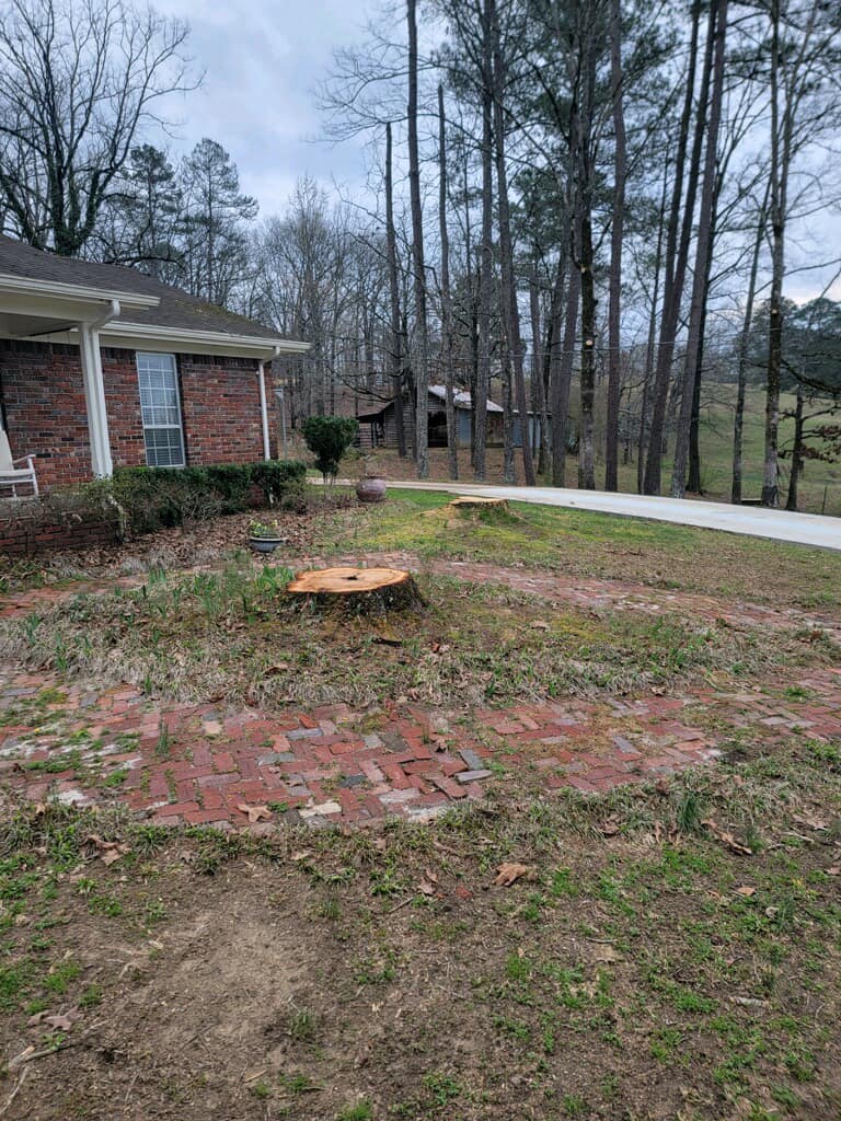Just Stumps AL project photo 55